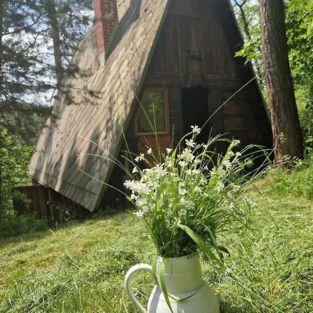 Forest Glamping Kozisek *