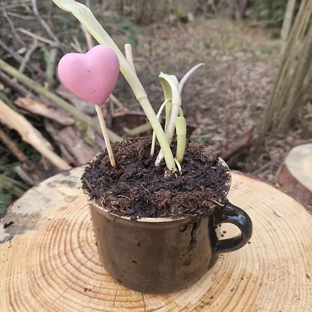 Kožíšek Prázdninový dům *