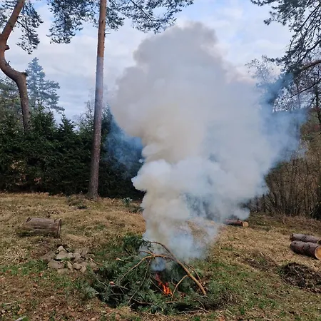Forest Glamping Kozisek