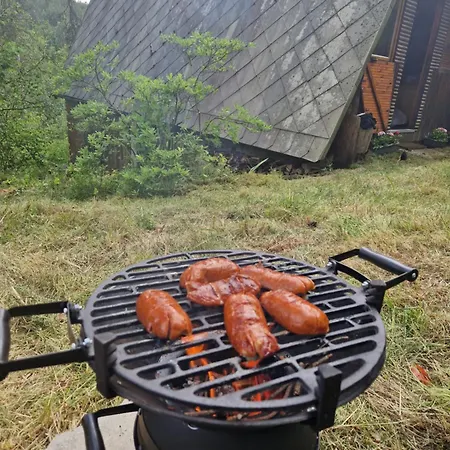 Forest Glamping Kozisek * Lisov (Pilsen)