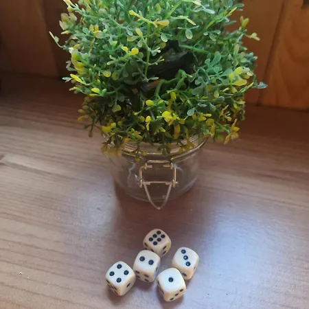 Kožíšek Prázdninový dům Lisov (Pilsen)