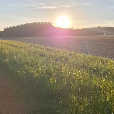 Kozisek