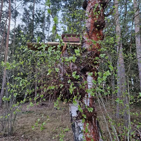 Semesterbostad Kozisek