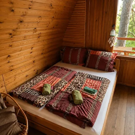 펜션 Forest Glamping Kozisek