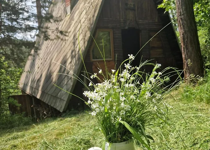 Kozisek *