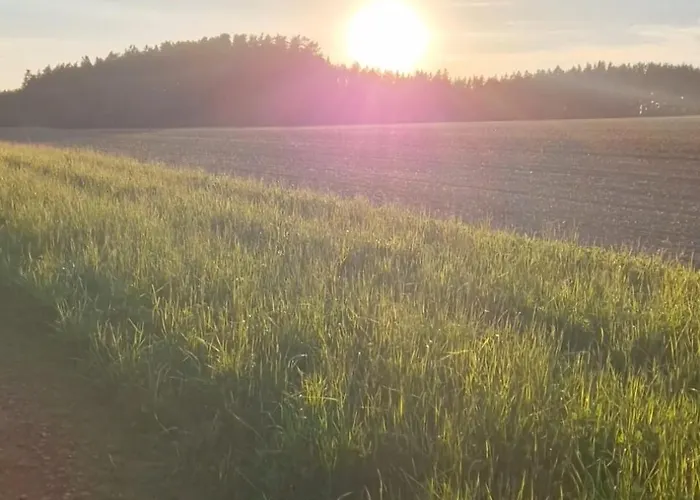 Kozisek