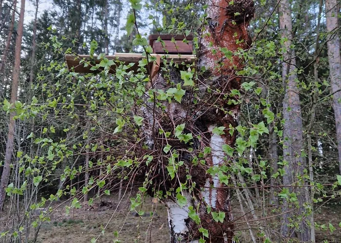 度假居 Kozisek